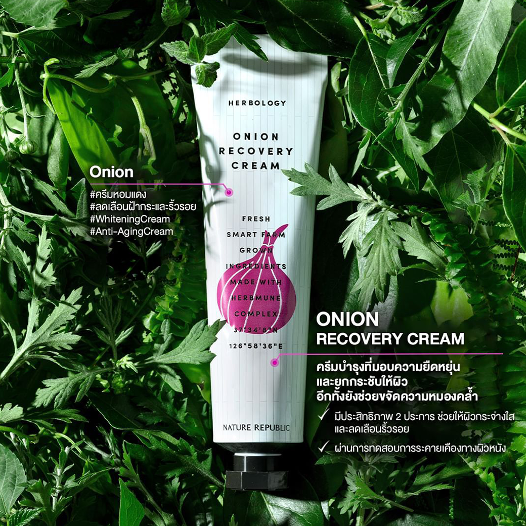 NATURE REPUBLIC HERBOLOGY ONION RECOVERY CREAM (70ml)